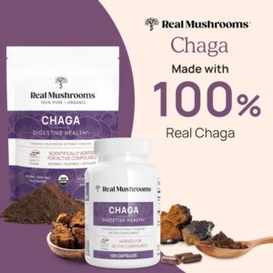 Real Mushrooms Chaga Mushroom Capsules – Organic Chaga Extract Powder with Extract Powder for Wellness & Energy Support– Vegan, Non-GMO, 300 Capsules – Organic Mushroom Supplement